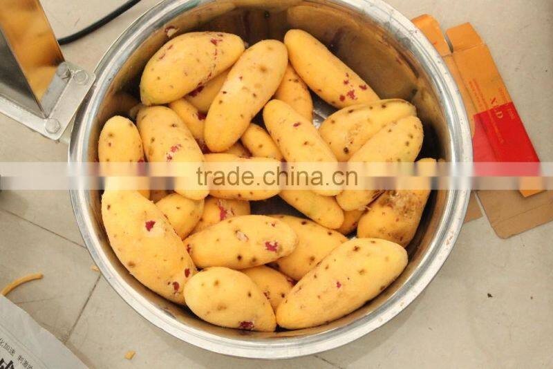 GL-380 Full Automatic Potato Vegetable and Fruit Washing and Peeling Machine