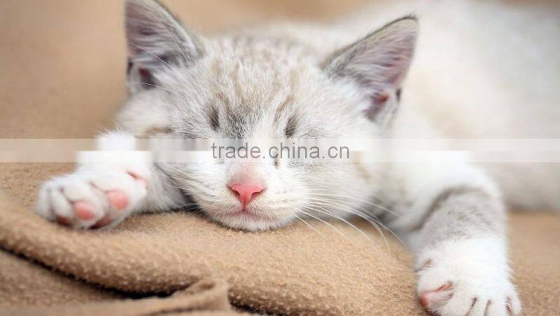 Premium Clumping Bentonite Cat Litter Manufacturer