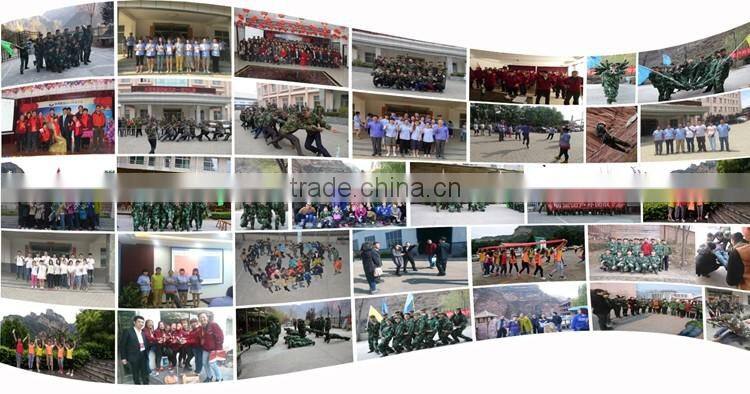 Hexagonal PVC Coated Chicken Wire Mesh