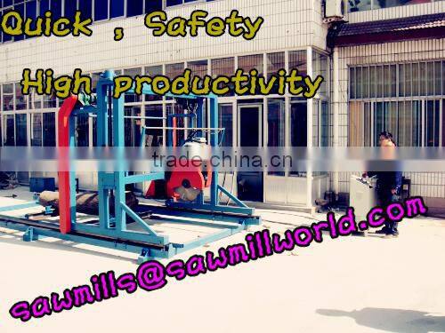 DS700 double saw blade angle sawmill with best price in china
