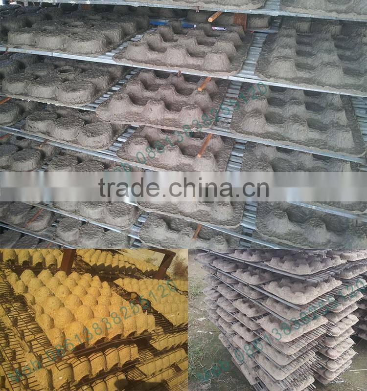 Machine Manufacturer Germany-Tec Paper Egg Tray Making Machine
