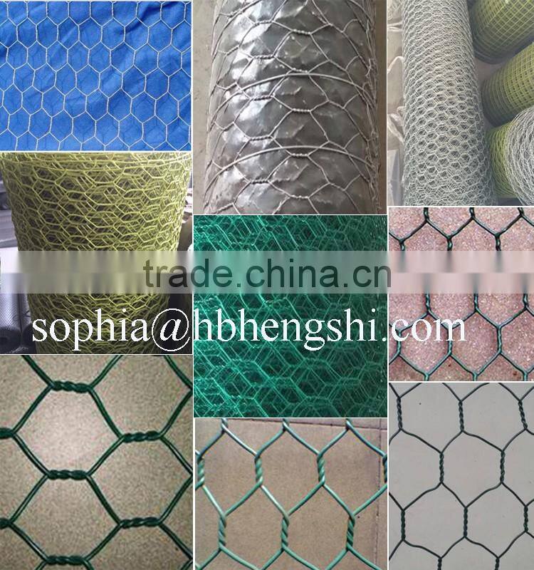 PVC coated Chicken Wire Mesh (Hexagonal Wire Netting)