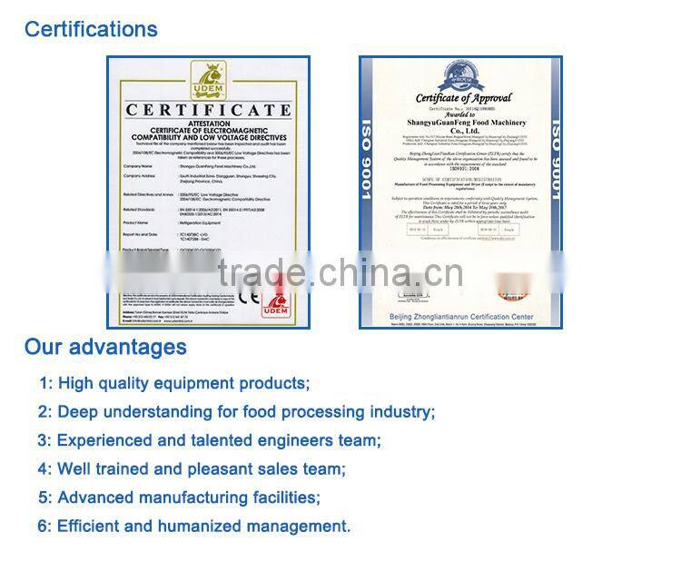 Automatic continuous frying machine