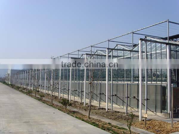 China greenhouse roof panels