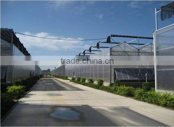 High light transmission polycrbonate greenhouse/polycarbonate sheet for greenhouse