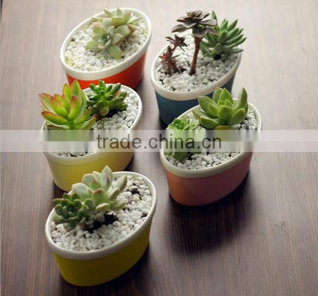 New design ship shape colorful ceramic flower pots for livingroom