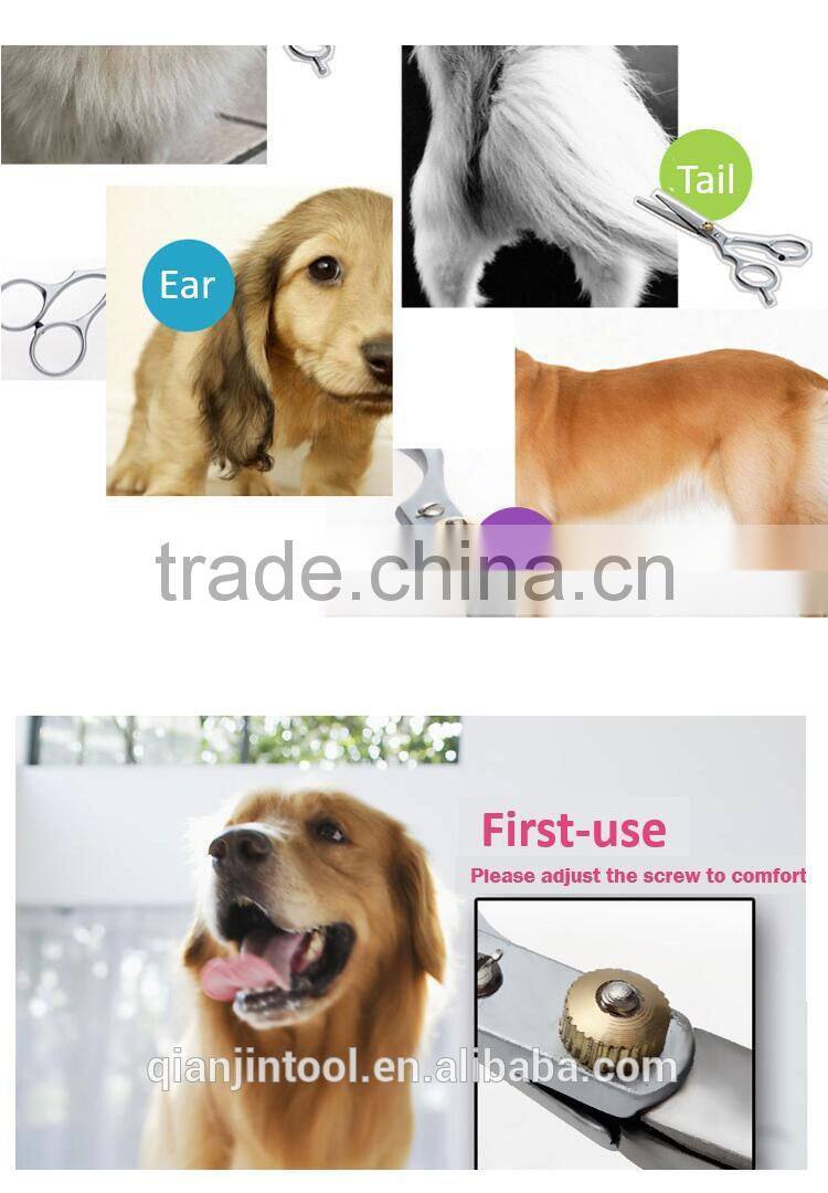 economic pet grooming scissors Multi color dog scissors