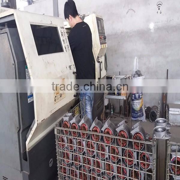 Mini Wire Rope Electric Hoist