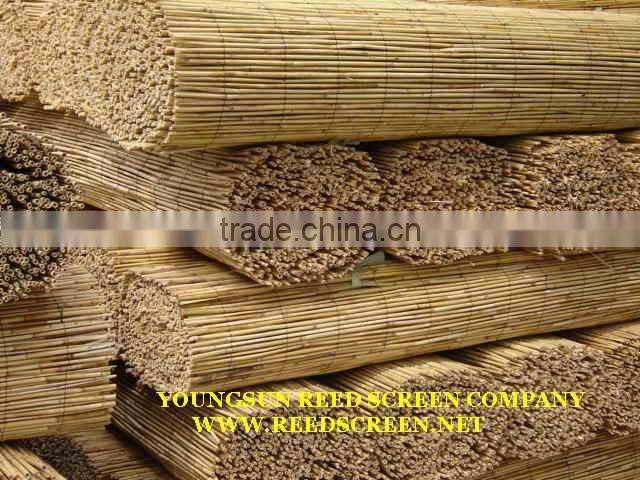 reed screen