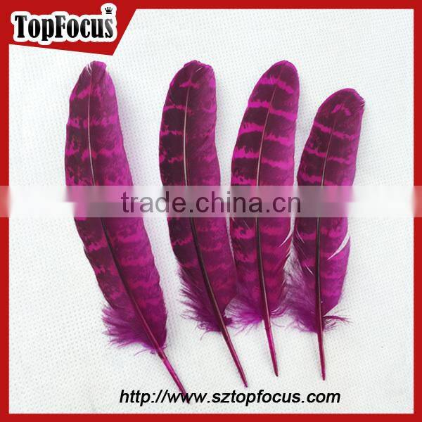 reeves cheap Natural Pheasant Tail Pheasant Feather for sale