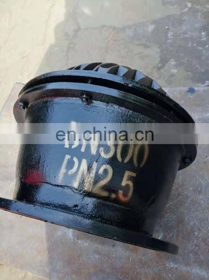 Black Paint GB Standard Flange End Non Return Cast Iron Foot Valve