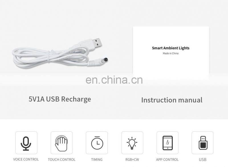 Wholesale smart lamp charge led wifi alexa voice control decoration night lamp lights for home