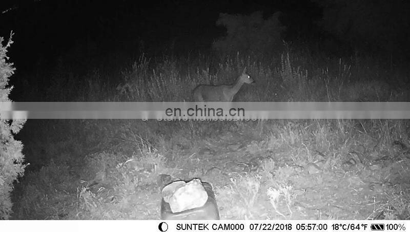 HC-550LTE Video Transit MMS SMTP FTP SMS Wildlife Camera Photo Trap hunting trail camera 4g lte