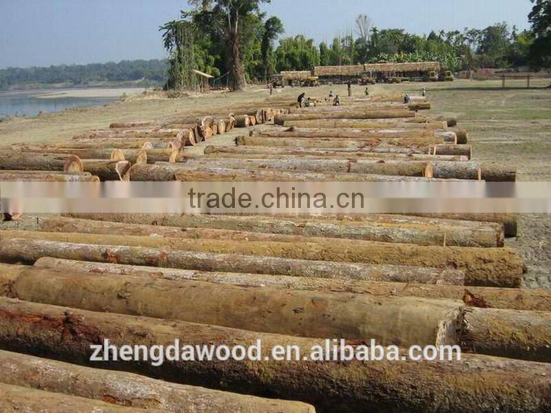 Burma Keuring Veneer