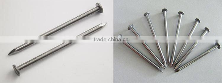 round head iron nails wire nails common nails