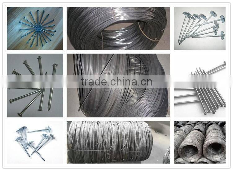15years high quality galvanized wire factory/galvanized wire(factory)