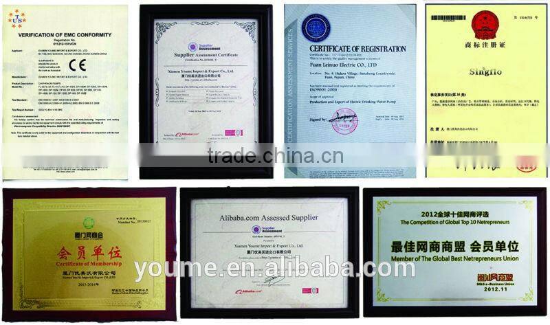 Singflo 12 volt DC water pump/high pressure water pump/ small electric water pump