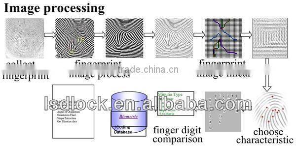 Electronic Fingerprint Indoor Door Lock
