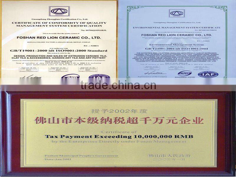 bricks in israel MPO-001 240x60x10mm