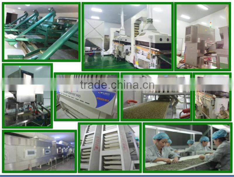 Export Green Pumpkin Seeds Grown without Shell GWS Supplier