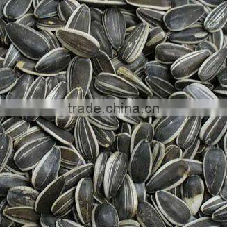 Sunflower Seeds 5009