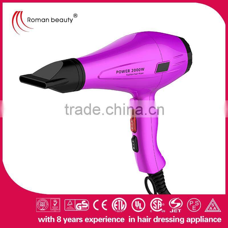 Professional travel ionic plugged inn heat master series dryer