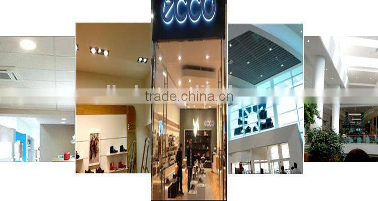 Aluminum Alloy Lamp Body Material and LED Light Source led downlight 30w