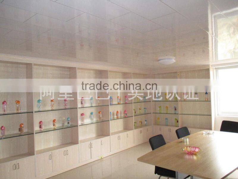 BPA Free handle sports bottle design