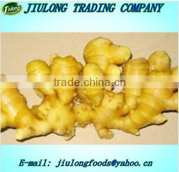 Market price for big ginger