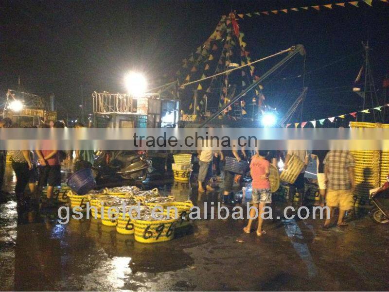 cheap price size 200-300g/pcs whole round frozen mackerel