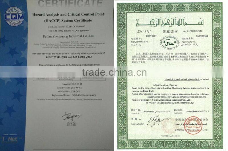 155gx50 canned mackerel in tomato sauce(ZNMT0083)