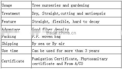 Agriculture products/Bamboo stick used in decoration/Flower bamboo stick