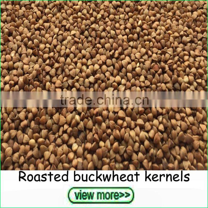 Export Grade Shine Skin Pumpkin Seeds in Bulk
