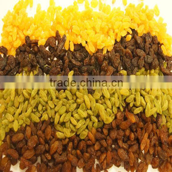 Sunshine kinds of raisins