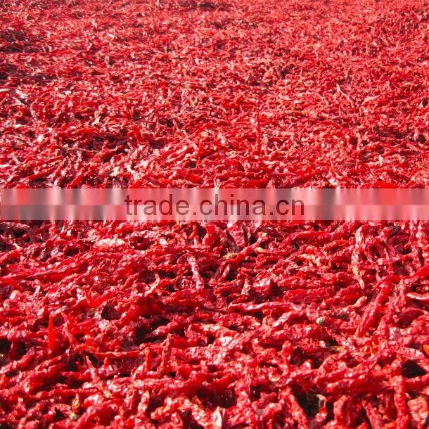 Chinese supplier wholesales export dried red chilli import from china