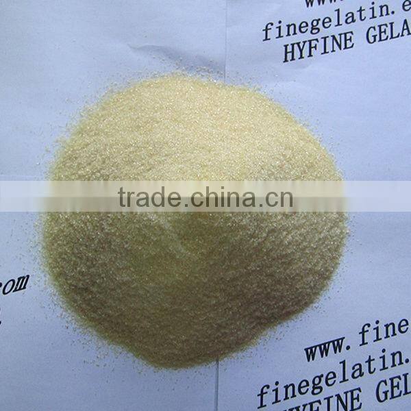 halal gelatin factory/bovine gelatin price/edible gelatin