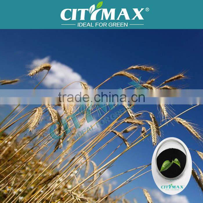 Mineral Powder for Paint