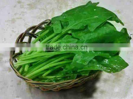 Industrial Multi-Function Automatic Vegetable Cutter, Vegetable Cutting Machine