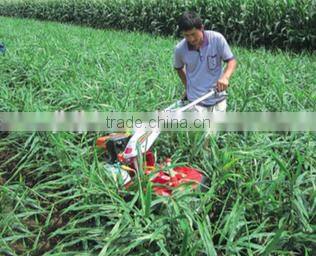 33 TG4 Multifunctional Cultivation Management Machine