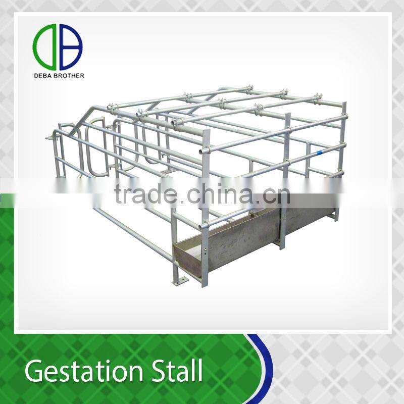 Pig Farm use custom design equipment sow pens Galvanized Pig Gestation Stall for sows