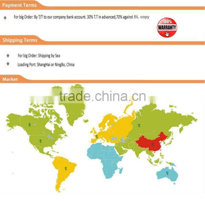 XBH 8X8-2(A) High-end Advanced Equipment Vehicle with GPS HID Search Light multifunctional rescue all-terrains vehicle ATV