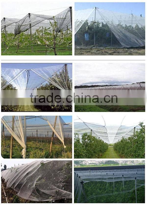 Apple tree anti-hail net