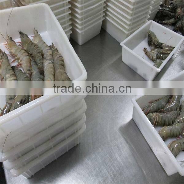 best frozen freshwater shrimps