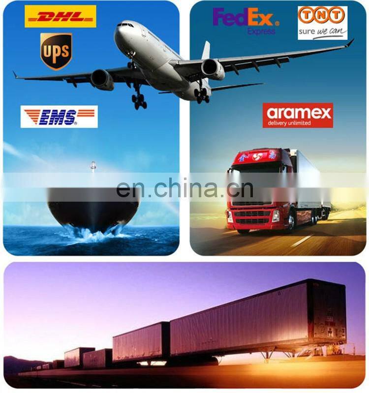 2016New Arrive Zebra Printed Tee TShirts