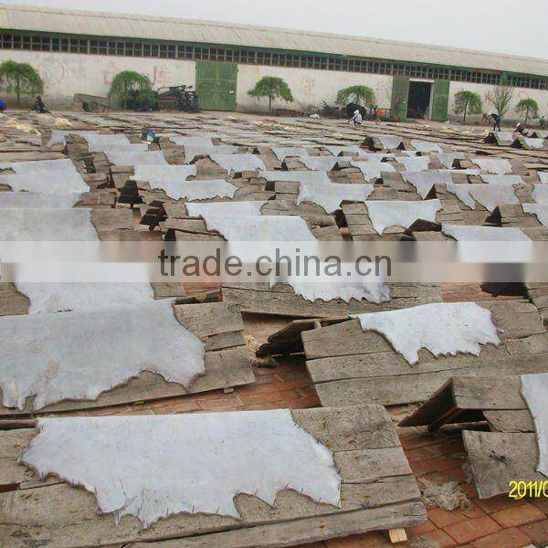 tanned genuine lamb wool and sheepskin earmuffs China supplier