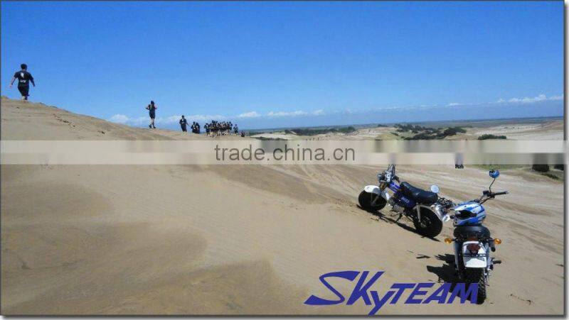 SKYTEAM 125CC 4 STROKE ST125-11 RV T-REX (EEC, EUROIII EURO 3 EPA approved)