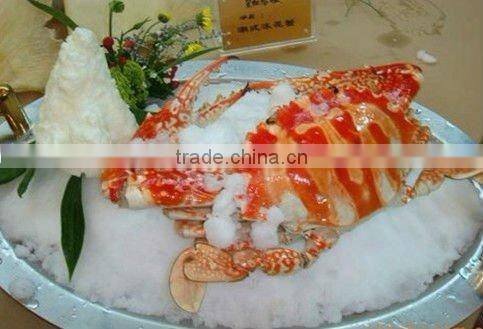 Snow ice making machine for sale