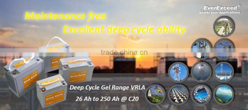 EverExceed solar gel battery
