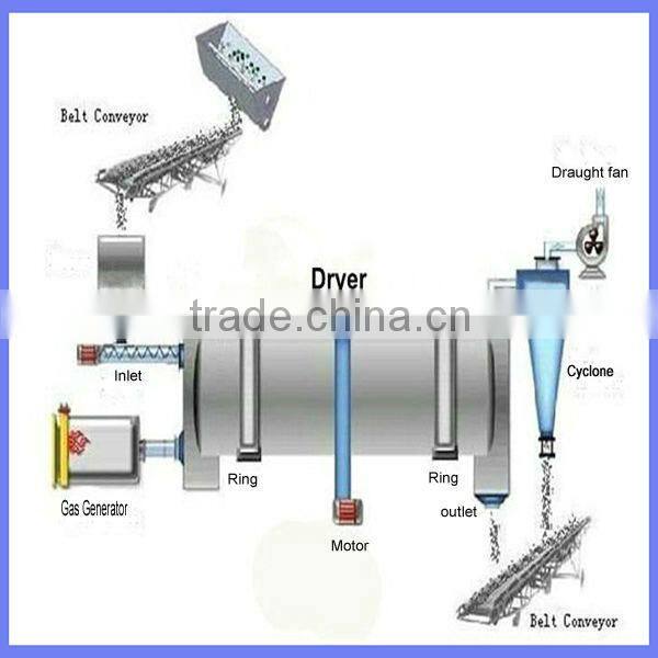 Good performance Chicken /Cow//pig Manure Drying Machine/Poultry Dung Dryer Machine for Africa Marketing