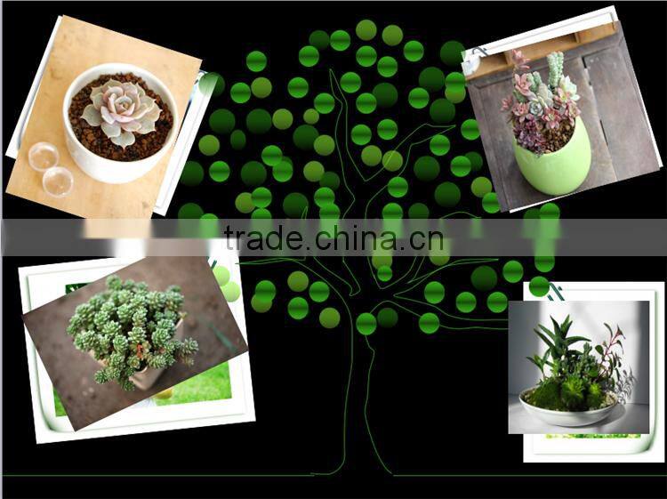 China supplier new designed potted artificial mini succulent plants for table decoration